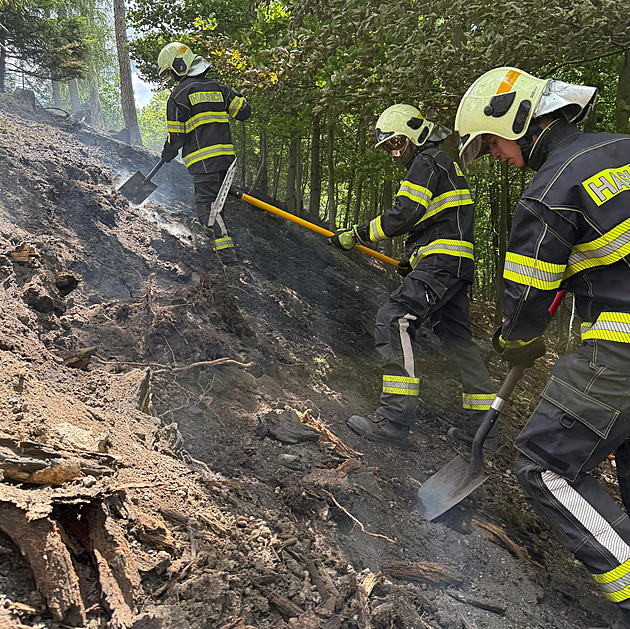 Plameny hasii zlikvidovali za nkolik desítek minut, poáit ale budou dál...