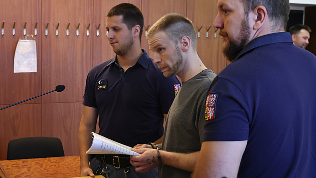 Nezletilé dívce podal smrtící dávku pervitinu, řekl soud a potrestal dealera