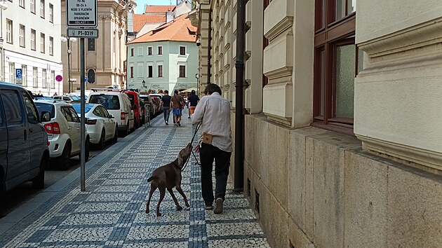 Platnéská ulice