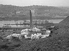 Destrukce podolské cementárny. (12. b�ezna 1951)