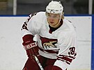 Martin Hanzal