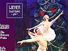 Baletní divadlo Wiener Stadtballett pijede do eska se dvma klasickými balety...