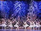 Baletní divadlo Wiener Stadtballett pijede do eska. Jedním z pedstavení bude...