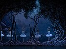 Baletní divadlo Wiener Stadtballett pijede do eska. Jedním z pedstavení bude...