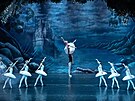 Baletní divadlo Wiener Stadtballett pijede do eska. Jedním z pedstavení bude...
