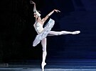 Baletní divadlo Wiener Stadtballett pijede do eska. Jedním z pedstavení bude...