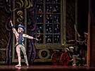 Baletní divadlo Wiener Stadtballett pijede do eska. Jedním z pedstavení bude...