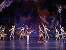 Baletní divadlo Wiener Stadtballett pijede do eska. Jedním z pedstavení bude...