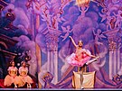 Baletní divadlo Wiener Stadtballett pijede do eska. Jedním z pedstavení bude...
