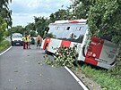 Hasii vyjeli k dopravn nehod autobusu, kter narazil do stromu. (23. ervna...