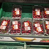 Ten v Tesco, dne 20. 6. 2025.