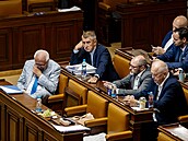 Ve Snmovn probíhá mimoádná schze Snmovny. Na snímku Andrej Babi (ANO)....