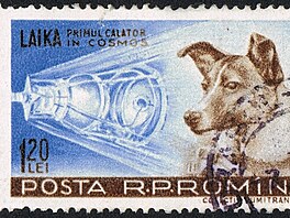 Spojené státy americké, Rusko, Argentina, Francie, ína, Japonsko, Francie a...
