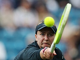 Barbora Krej�íková se natahuje po mí�ku na turnaji v Eastbourne.