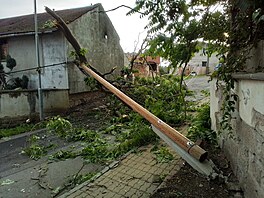 Hasii v Ústeckém kraji vyjídli kvli boukám k popadaným stromm. (23....