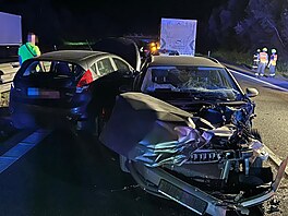 Opilý idi zabil jednoho lovka pi dopravní nehod na D11 nedaleko sjezdu na...