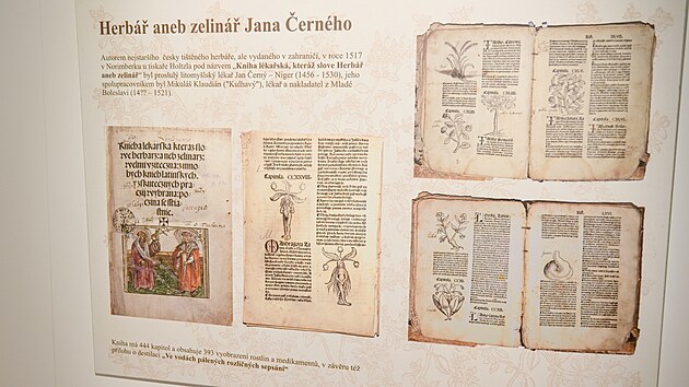 Muzeum Kromska vystavuje historick herbe ze soukrom sbrky Petra Blka. Pedstavuje herbe italskho lkae a humanisty Pietra Andrey Mattioliho z poloviny 16. stolet. Nvtvnci uvid vce ne 40 rznch vydn tohoto dla vpti jazycch. (erven 2025)