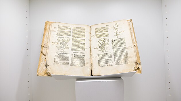 Muzeum Kromska vystavuje historick herbe ze soukrom sbrky Petra Blka. Pedstavuje herbe italskho lkae a humanisty Pietra Andrey Mattioliho z poloviny 16. stolet. Nvtvnci uvid vce ne 40 rznch vydn tohoto dla vpti jazycch. (erven 2025)