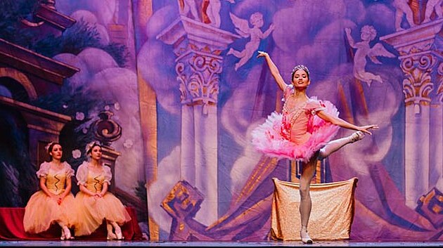 Baletn divadlo Wiener Stadtballett pijede do eska. Jednm z pedstaven bude i klasick dlo Louskek