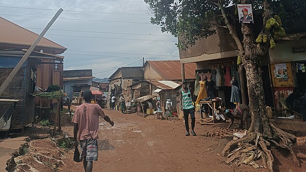 Takto to vypad v jednom ze slum v ugandsk Kampale. Na strom roste chlebovnk neboli jackfruit. (4. listopadu 2024)