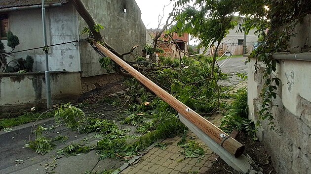 Hasii v steckm kraji vyjdli kvli boukm k popadanm stromm. (23. ervna 2025)