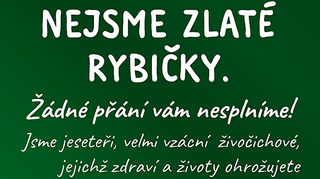 Ped zatkem hlavn sezony v Zoo Jihlava jsou nvtvnci opt drazn upozorovni na to, e krmen zvat, vhazovn minc do jezrek i kouen v arelu zahrady je zakzno.