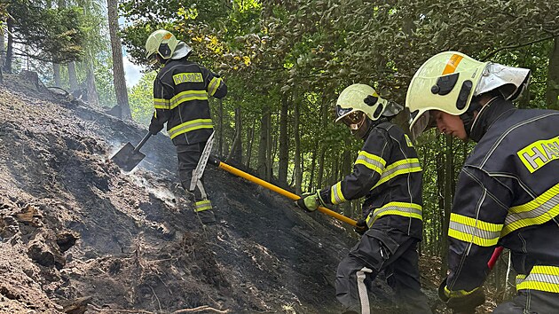 Plameny hasii zlikvidovali za nkolik destek minut, poit ale budou dl sledovat.  25. 6. 2025