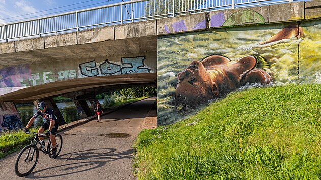 Na most u soutoku Labe a Orlice vzniklo nov graffiti. Hradeci tak maj nhradu za pedchoz malbu, kterou petely feministky.