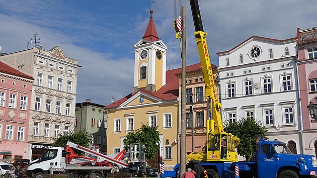 Pracovnci s autojebem chystaj nhradn hnzdo pro py na broumovskm nmst.