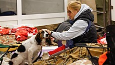 �ena hladí psa, který se s ní ukrývá ve stanici metra b�hem ruského vojenského...