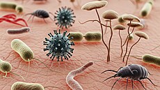 Na lidské k��i najdete bakterie, houby, viry i rozto�e.