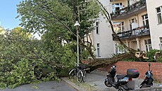 kody po bouích v nmeckém hlavním mst. (23. ervna 2025)