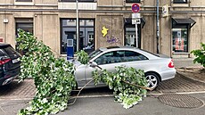 kody po bouích v nmeckém hlavním mst. (23. ervna 2025)