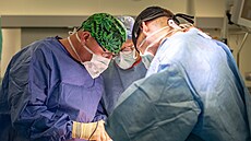 Primá Matej krovina na operaním sále