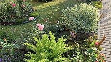 Zahrádka kam oko dohlédne