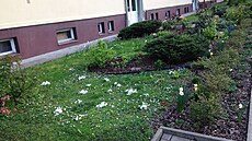 Trocha historie: jaro 2016