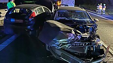 Opilý idi zabil jednoho lovka pi dopravní nehod na D11 nedaleko sjezdu na...