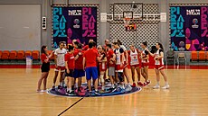 eské basketbalistky se na pedzápasovém tréninku  chystají na tvrtfinále...