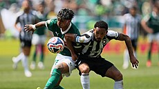 Vitinho z Botafoga a Facundo Torres z Palmeiras bojují o mí.