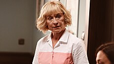 Dana Batulková v seriálu Kamarádi (2025)