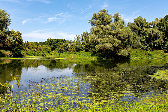 Nová CHKO Soutok, oblast Pohansko