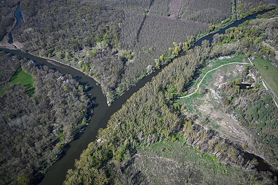 Budoucí chrán�ná krajinná oblast Soutok u B�eclavi. Soutok �eky Moravy (zprava...