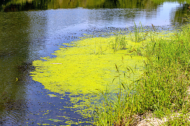 Vlnu odporu proti Soutoku dirigoval sponzor Motoristů, domnívají se ekologové