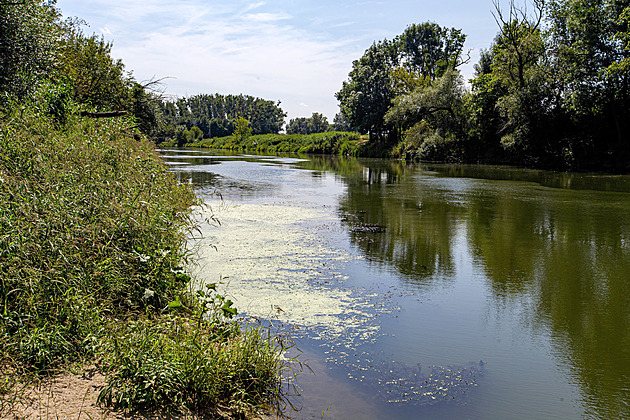Soutok: váží víc zájem místní, či veřejný? Proč Ústavní soud rozhodl proti rušení CHKO