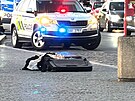 Policist kvli podezelmu zavazadlu uzaveli obousmrn Wilsonovu ulici u...