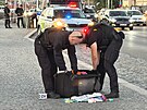 Policist kvli podezelmu zavazadlu uzaveli obousmrn Wilsonovu ulici u...