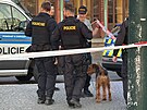Policist kvli podezelmu zavazadlu uzaveli obousmrn Wilsonovu ulici u...