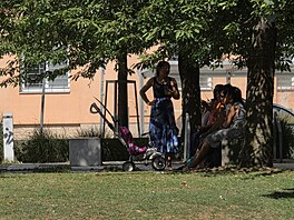 Znojmo suuje chování nových romských rodin. Radnice chystá dalí sérii...