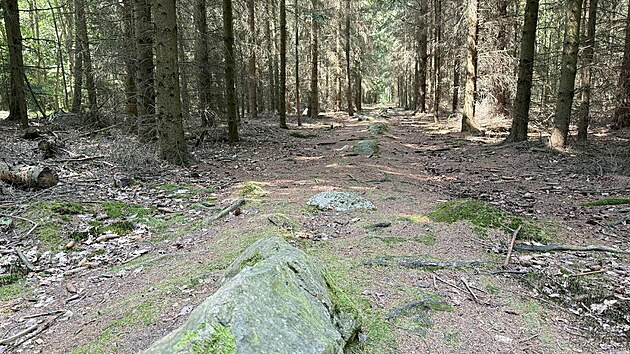 Kounovské kamenné �ady