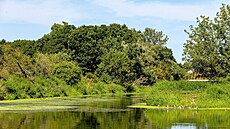 Nová CHKO Soutok, oblast Pohansko
